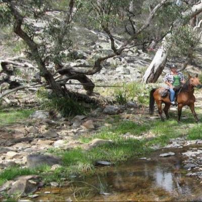Three Waters High Country Holidays